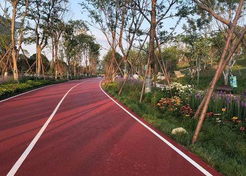 公園甬道 公園甬道